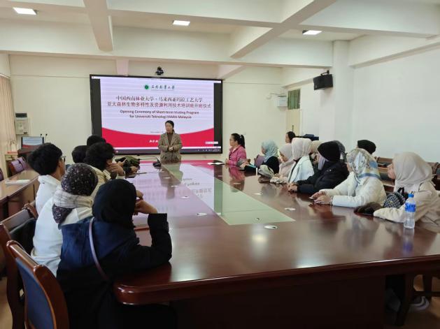 a72e4dab34a21391297639bc4a9a774