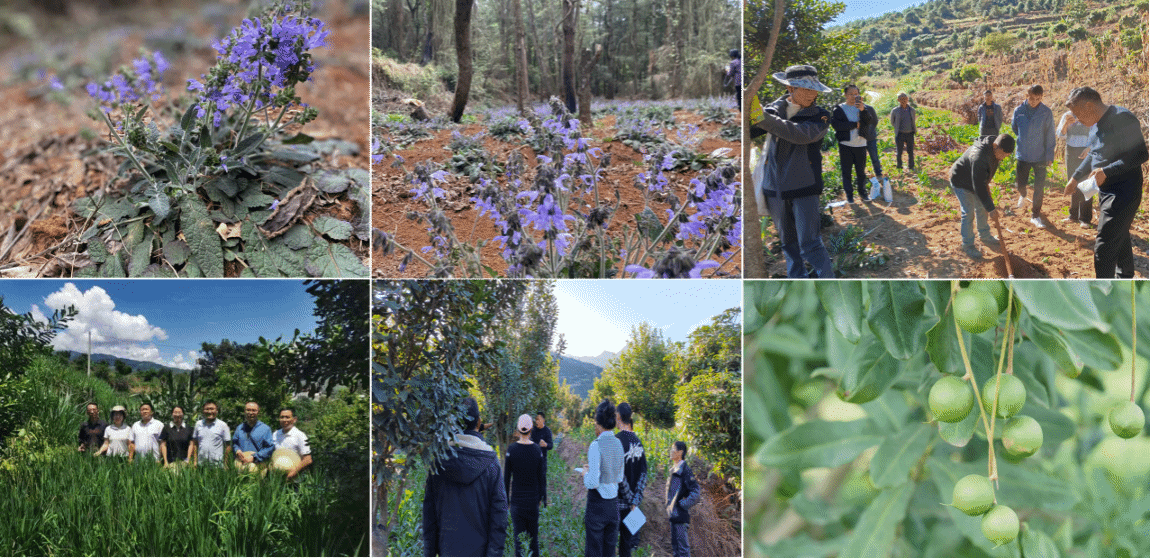 微信图片_20250916150510_234_12